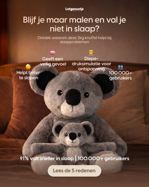 Verzwaringsknuffel 2kg