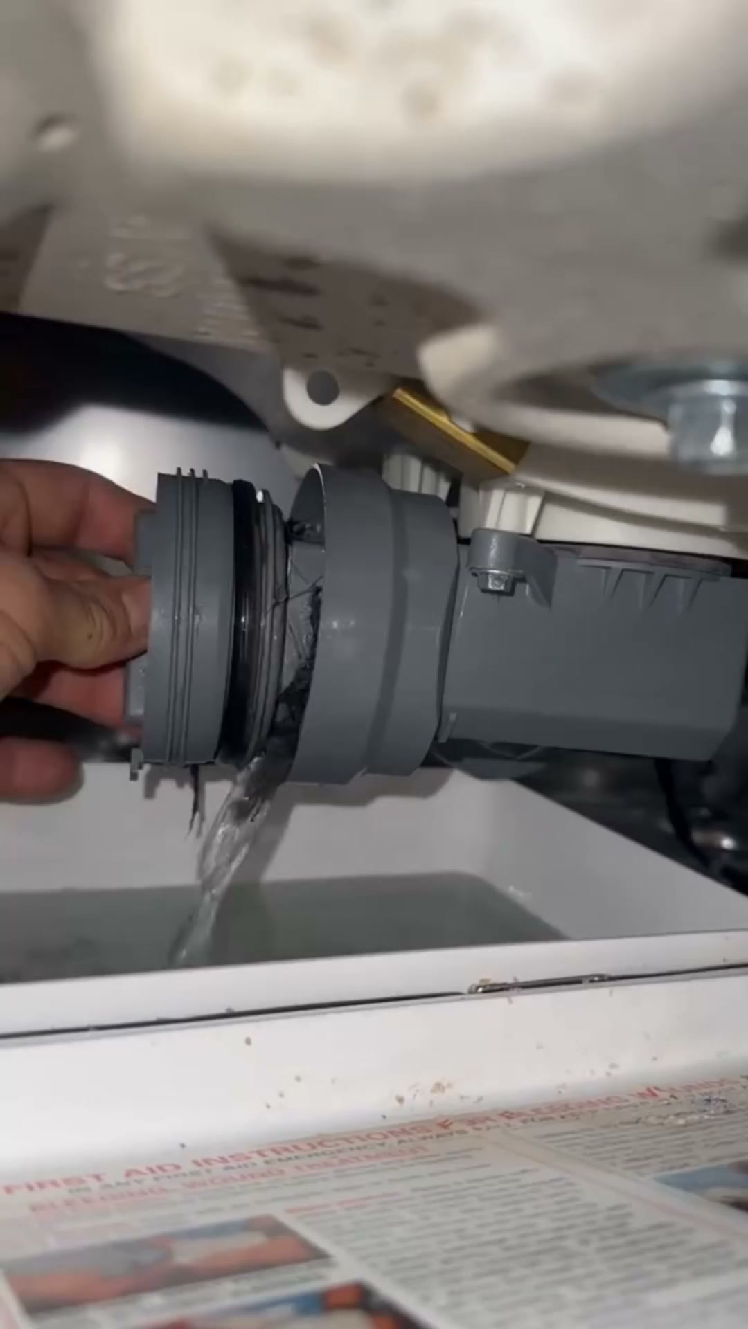 The Hidden Grime in Your Washer