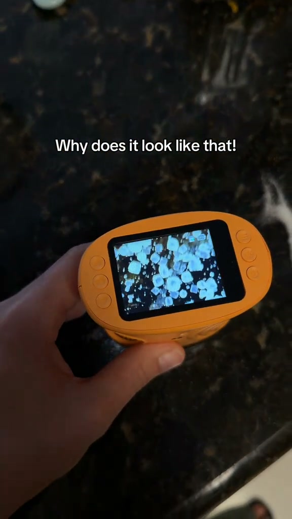 Discover A Hidden World