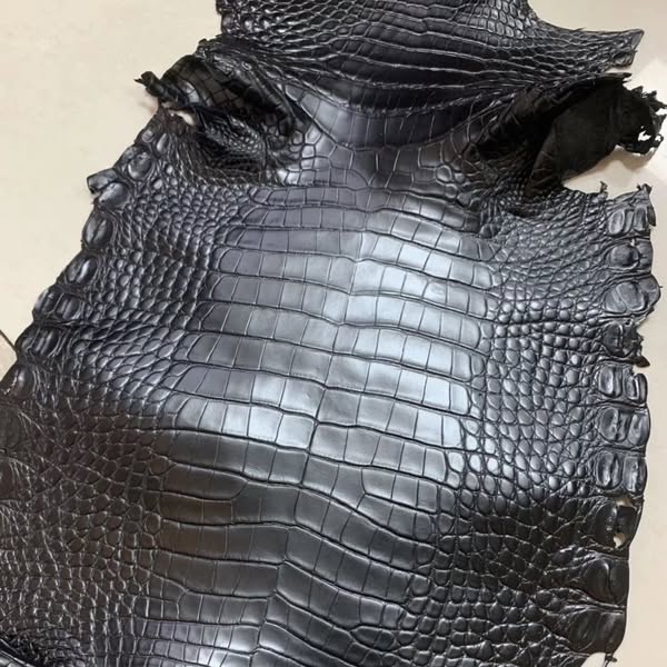 Black Matte American Gator Exotic Skins (Gr.1)