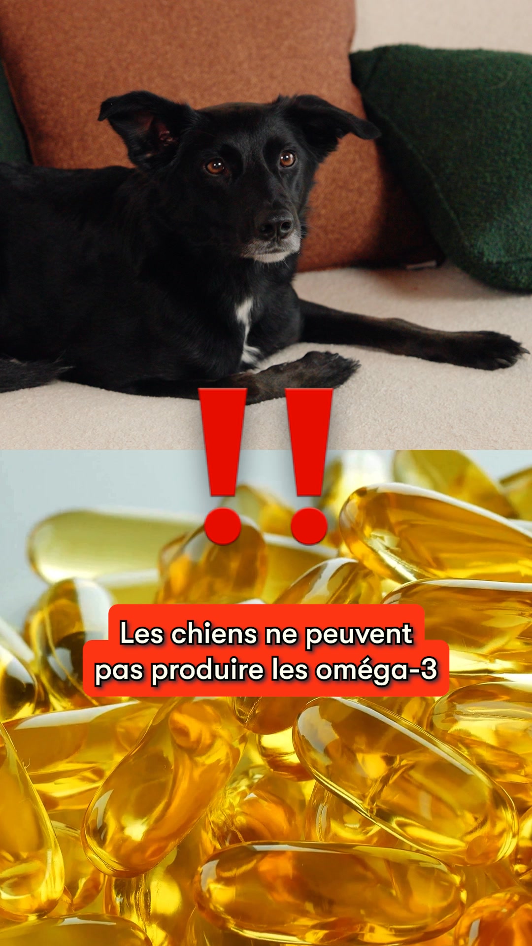 Offrez-lui le meilleur avec 30% de réduction