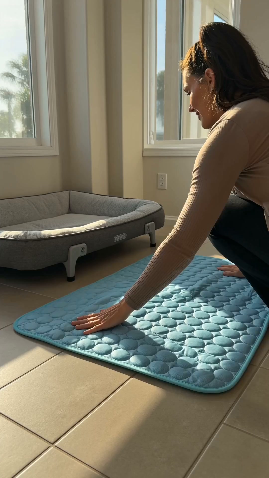 Cool Comfort Wherever Your Dog Goes