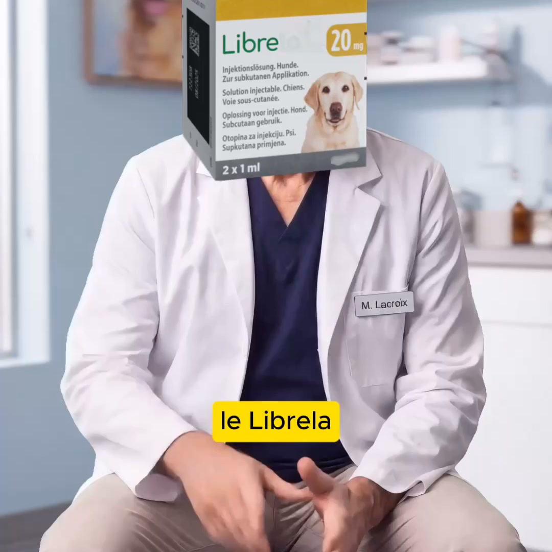 Ton toutou n'est pas paresseux. Il souffre. Aide le maintenant.