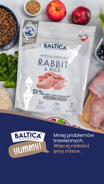 Więcej radości przy misce