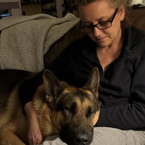 Lisez ça si vous avez un chien