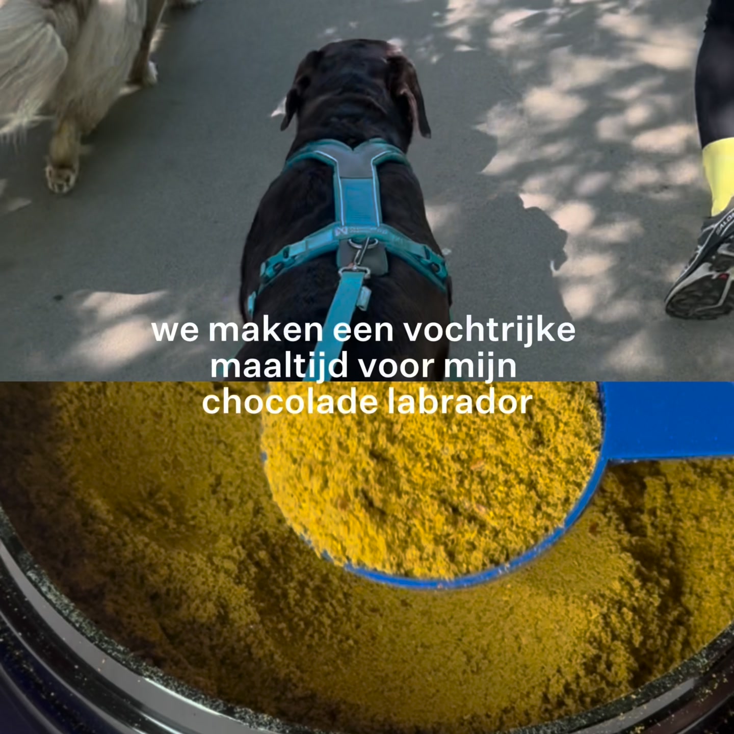 Diner met extra water, klaar in 2 minuten