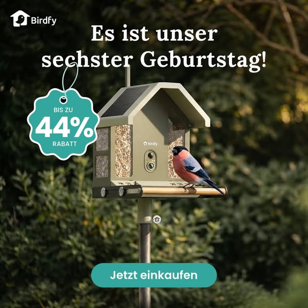 Birdfy 6. Jahrestag – Bis zu 44 % sparen!