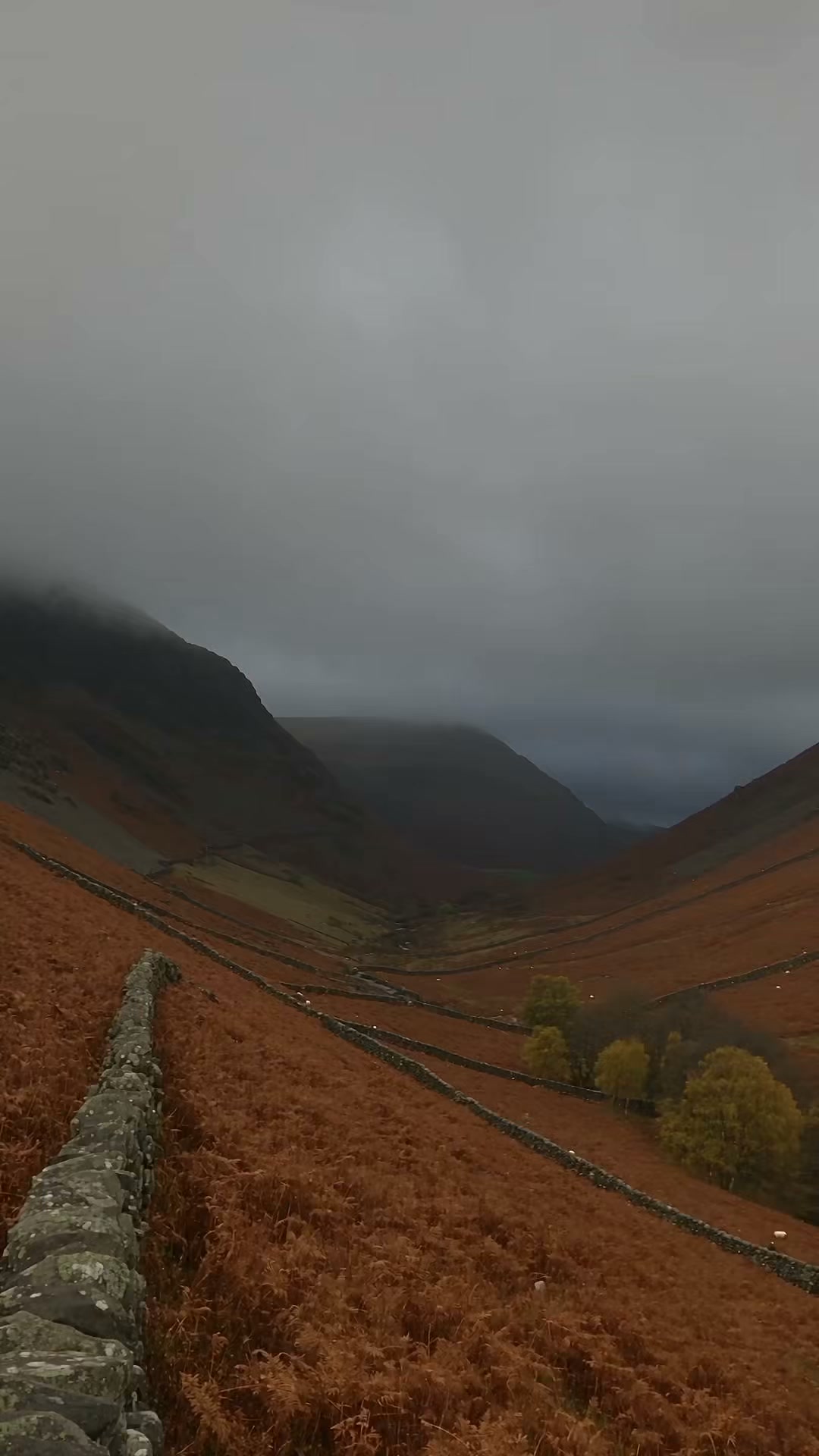 The weather changes. The routine does not.