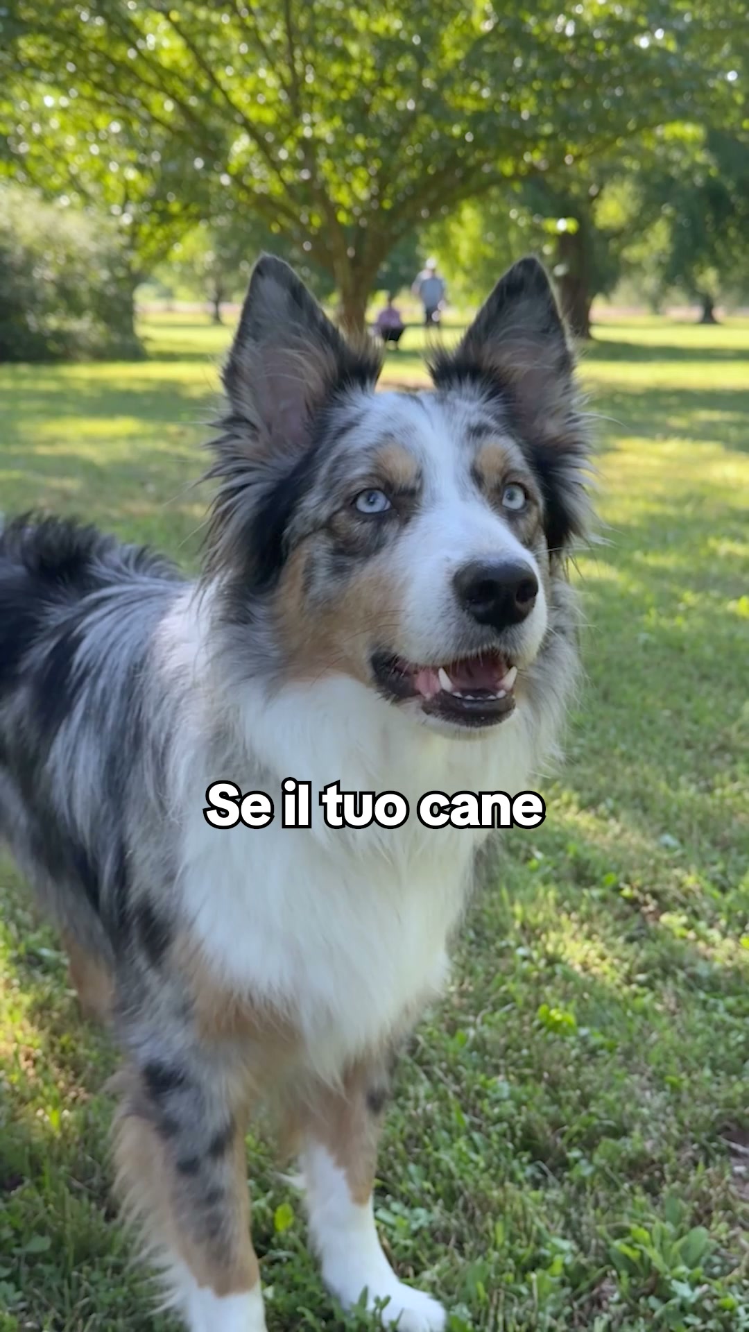 OTTIENI IL 70% DI SCONTO + Spedizione GRATUITA