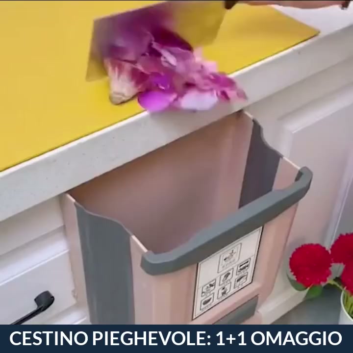 Spedizione Gratuita - Pagamento alla Consegna