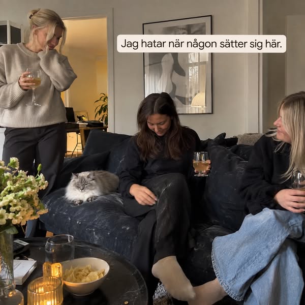 Älskar katten. Inte katthåret.