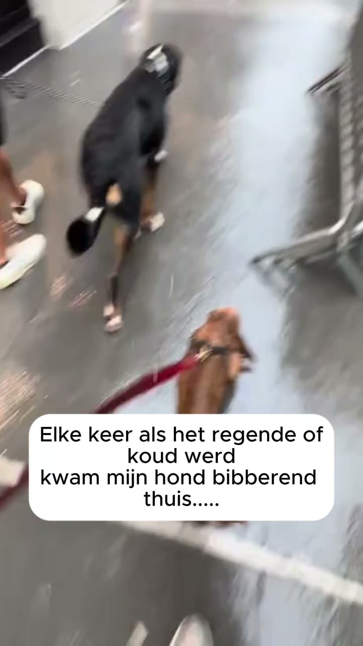 Jas en harnas in één