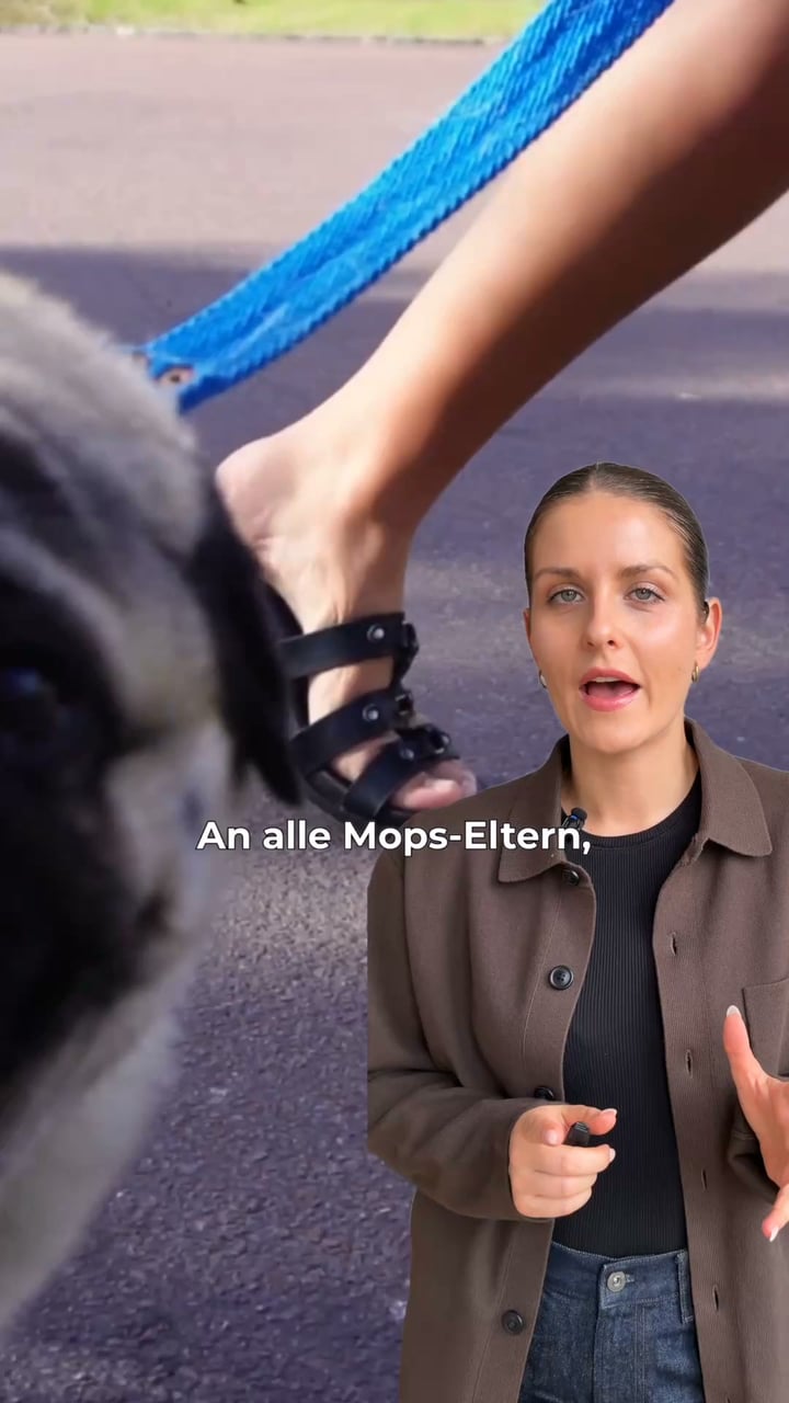 Jetzt 30% Test-Rabatt sichern