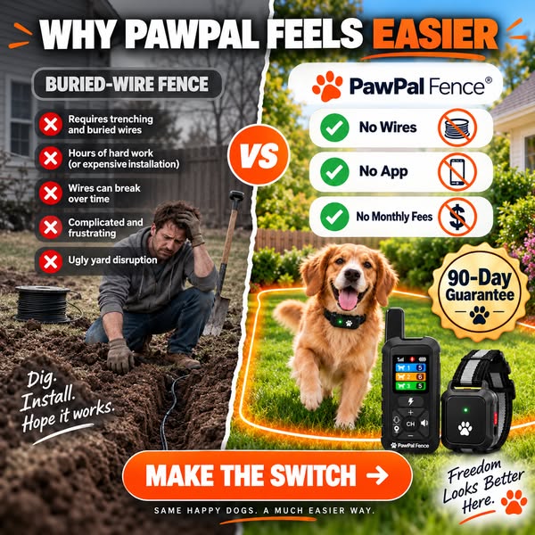 How Dog Trainers Handle Escape Artists