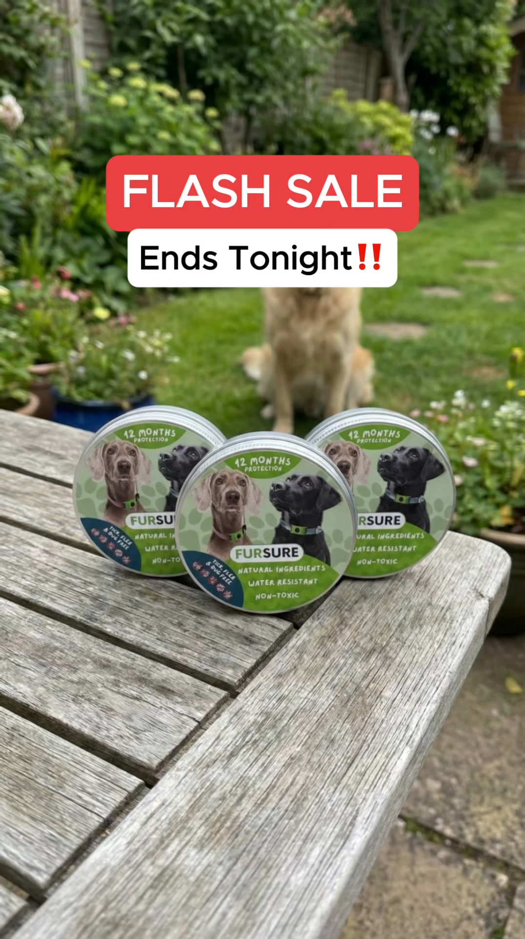 Give your furry friend real, natural protection