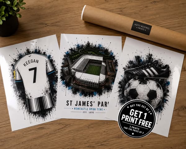 Newcastle Fan Prints