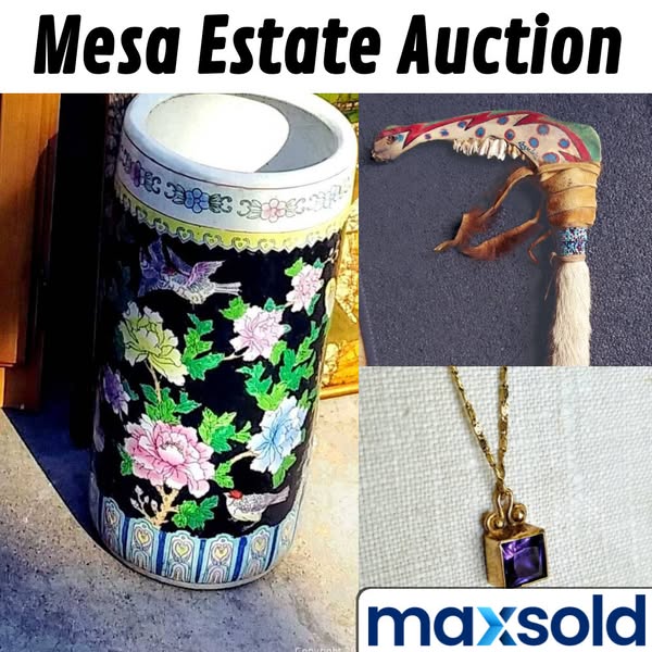 Bid Gallery | Mesa (Arizona, USA) SELLER MANAGED Estate Sale Online Auction - S. Valencia, | Maxsold
