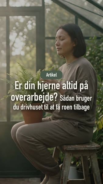 Hvad hvis dit uderum kunne give dig overskuddet tilbage?