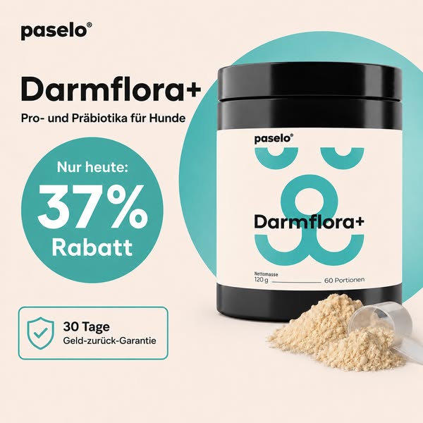 Heute: Bis zu 37% Rabatt