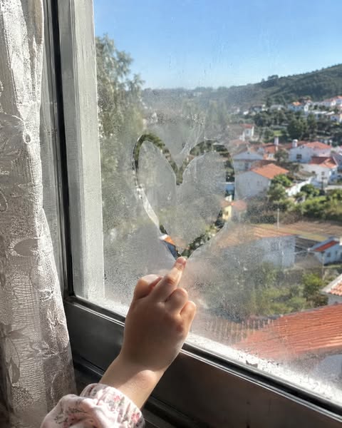 Ninguém vê os vidros da própria casa