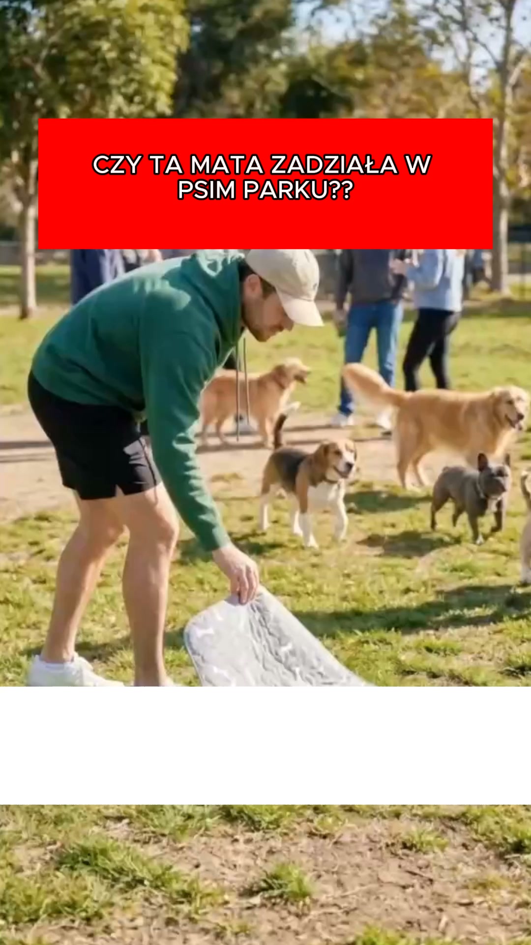 50% Zniżki do wyczerpania Bezplamki
