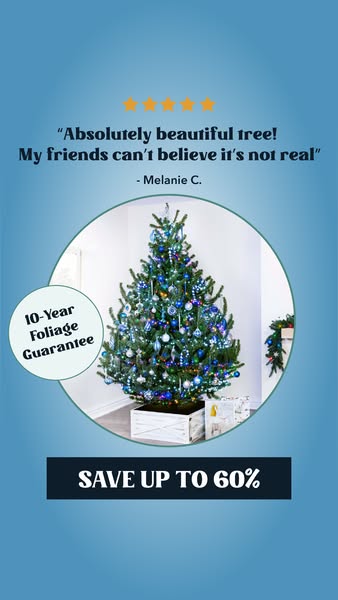 Save Up To 60% On Christmas Trees