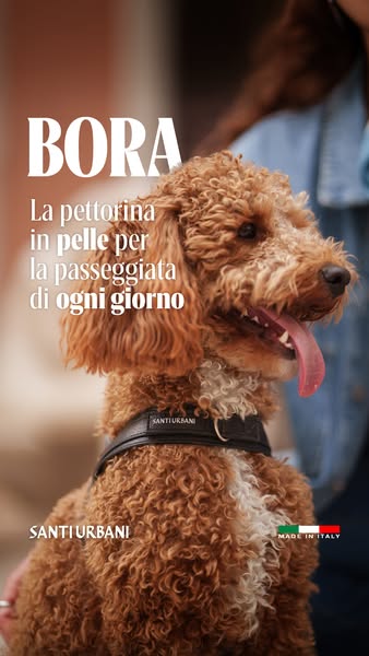 Libertà di movimento, ogni giorno