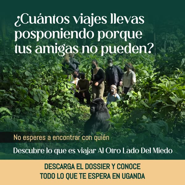 Vuelve a hacer cosas que te ilusionen