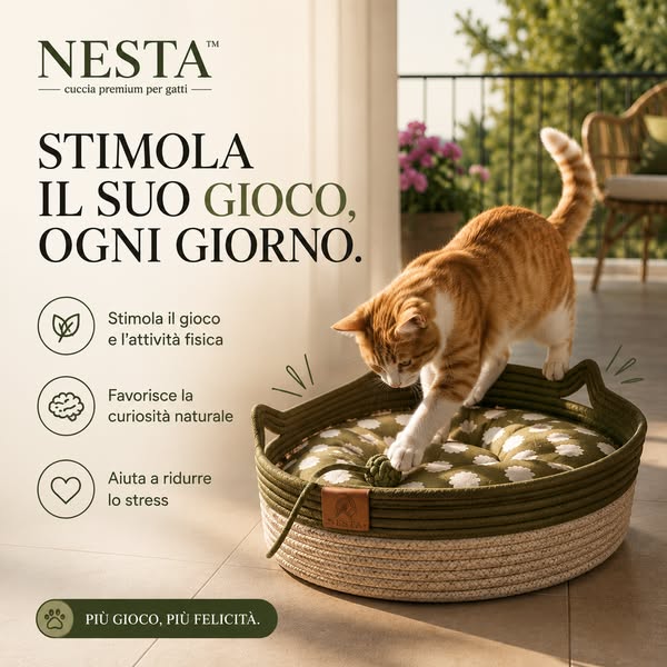Spedizione Gratuita