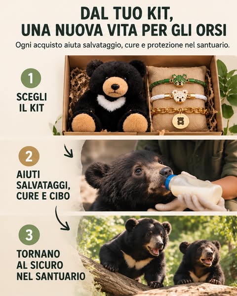 Salva oggi un orso