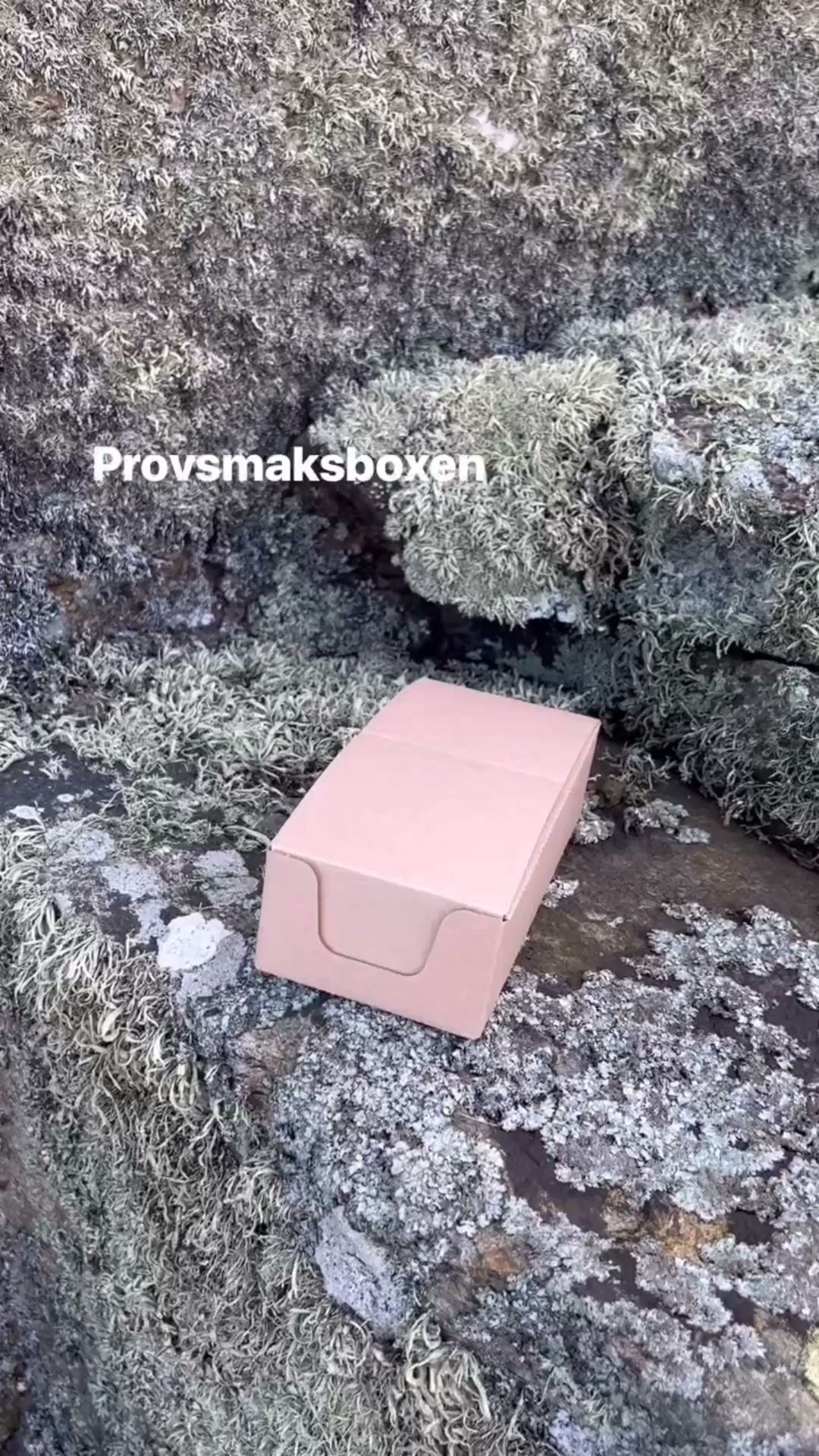 Svenskbakat!