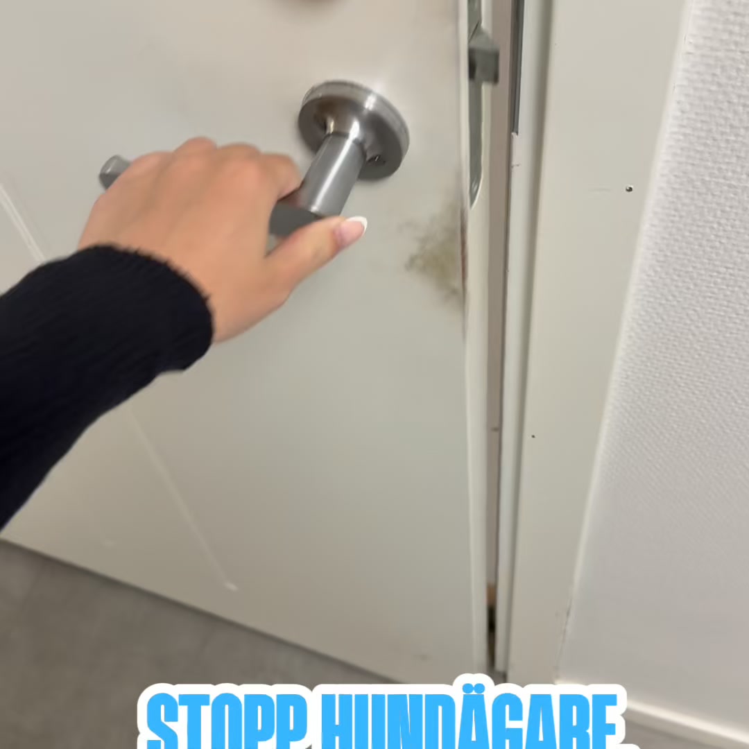 Stoppa din hunds klåda
