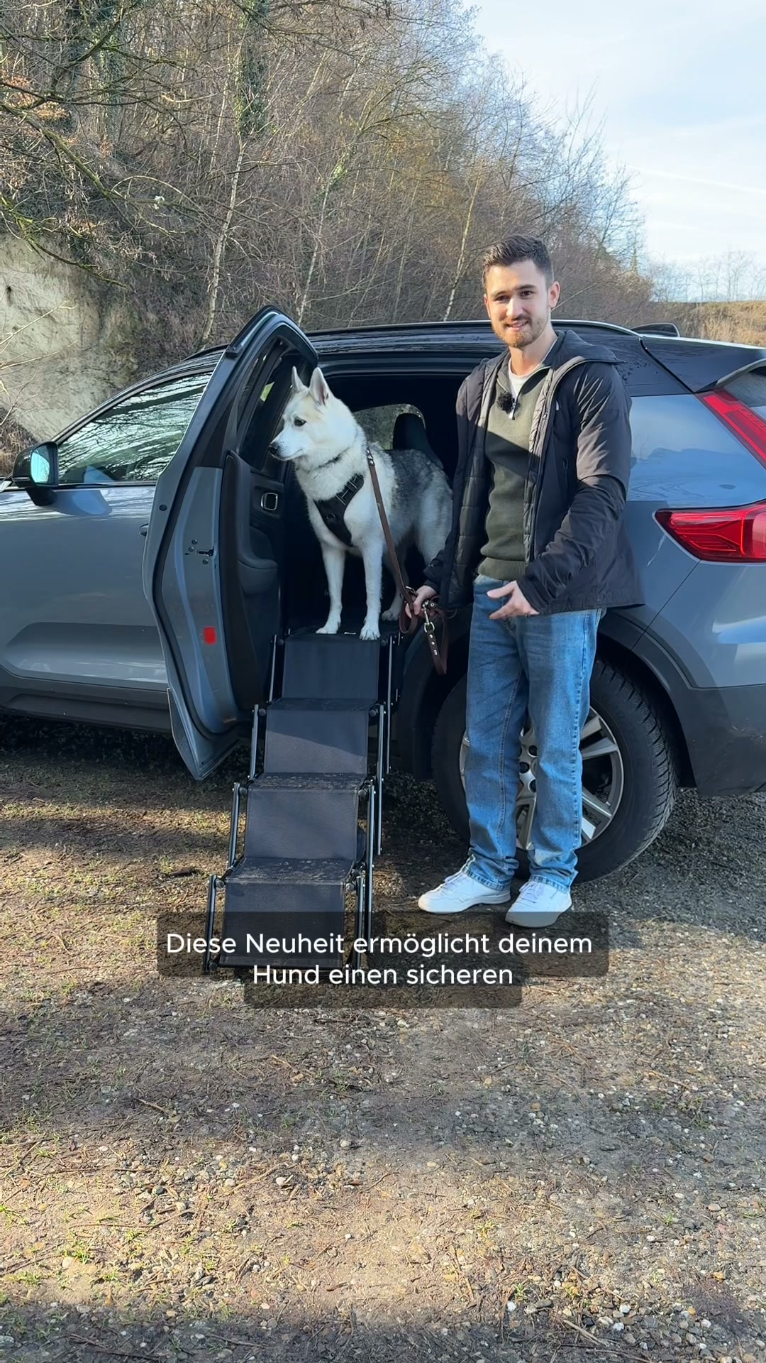 Endlich eine Hundetreppe für die Rückbank