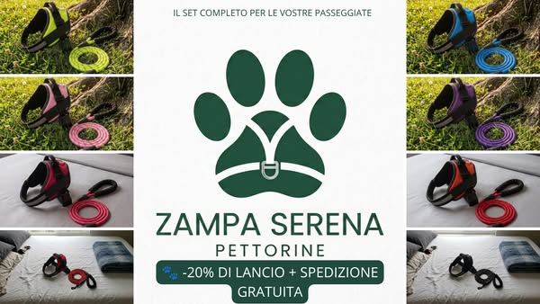 "-20% di lancio + spedizione gratuita"