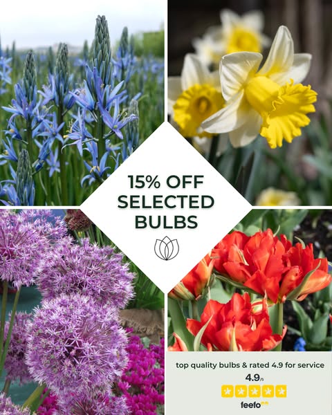 15% off Selected Spring Bulbs