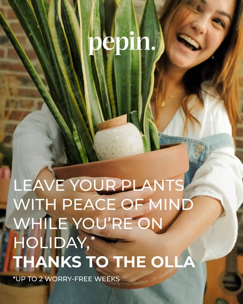 Your plants deserve a holiday too