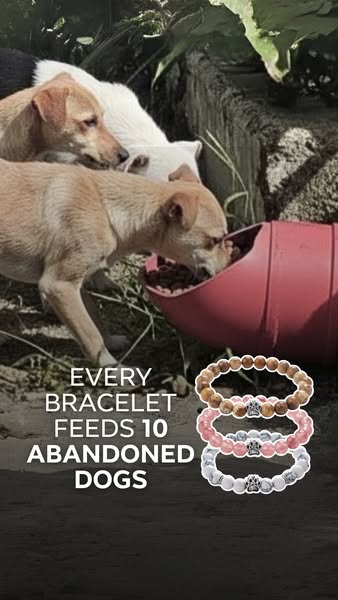 Rescue Paws Bracelet