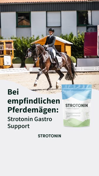 Jetzt neu: Strotonin Gastro Support