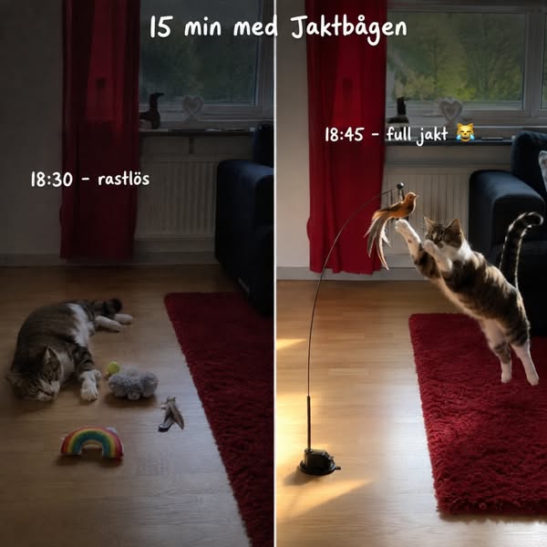 Jaktbågen - 30% REA