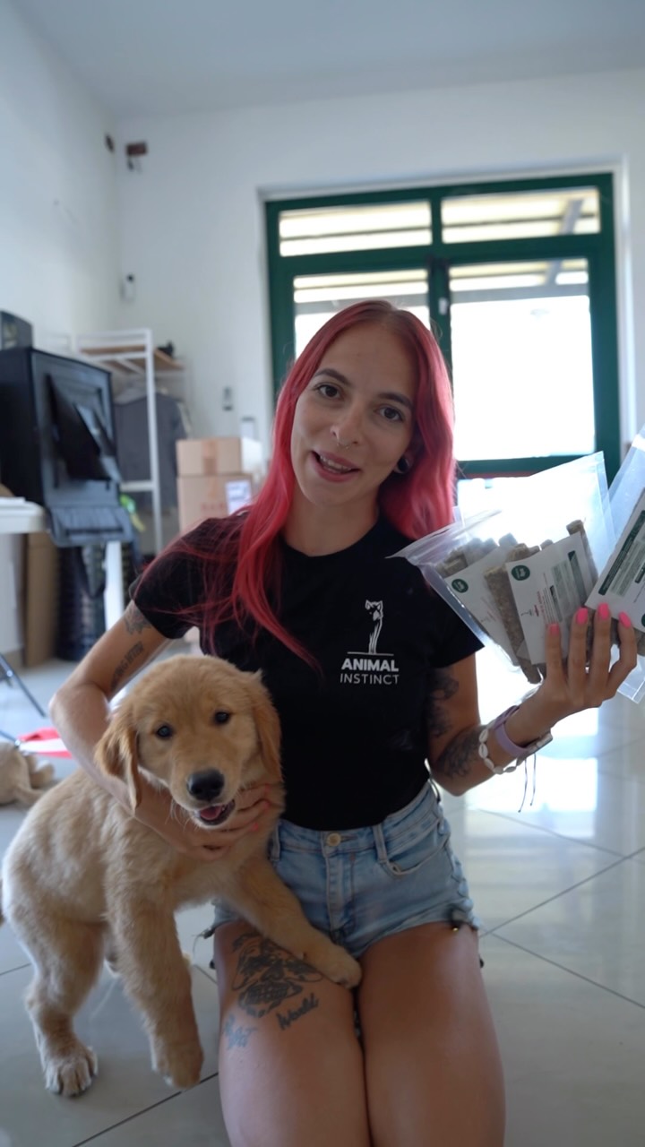 Anúncio de ADICA Associazione per la difesa del cane - ODV
