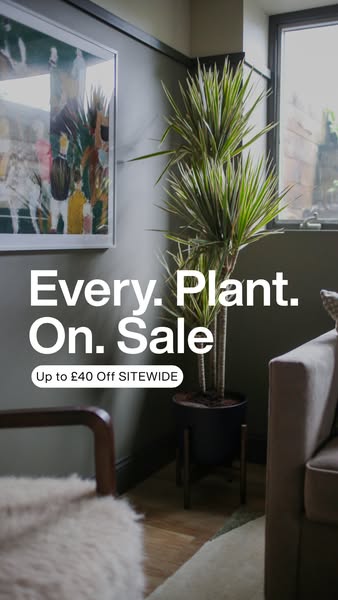 Try Self-Watering Plants