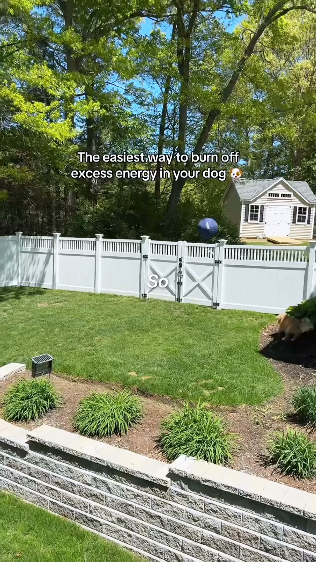 The Ball That Finally Gets Them To Settle