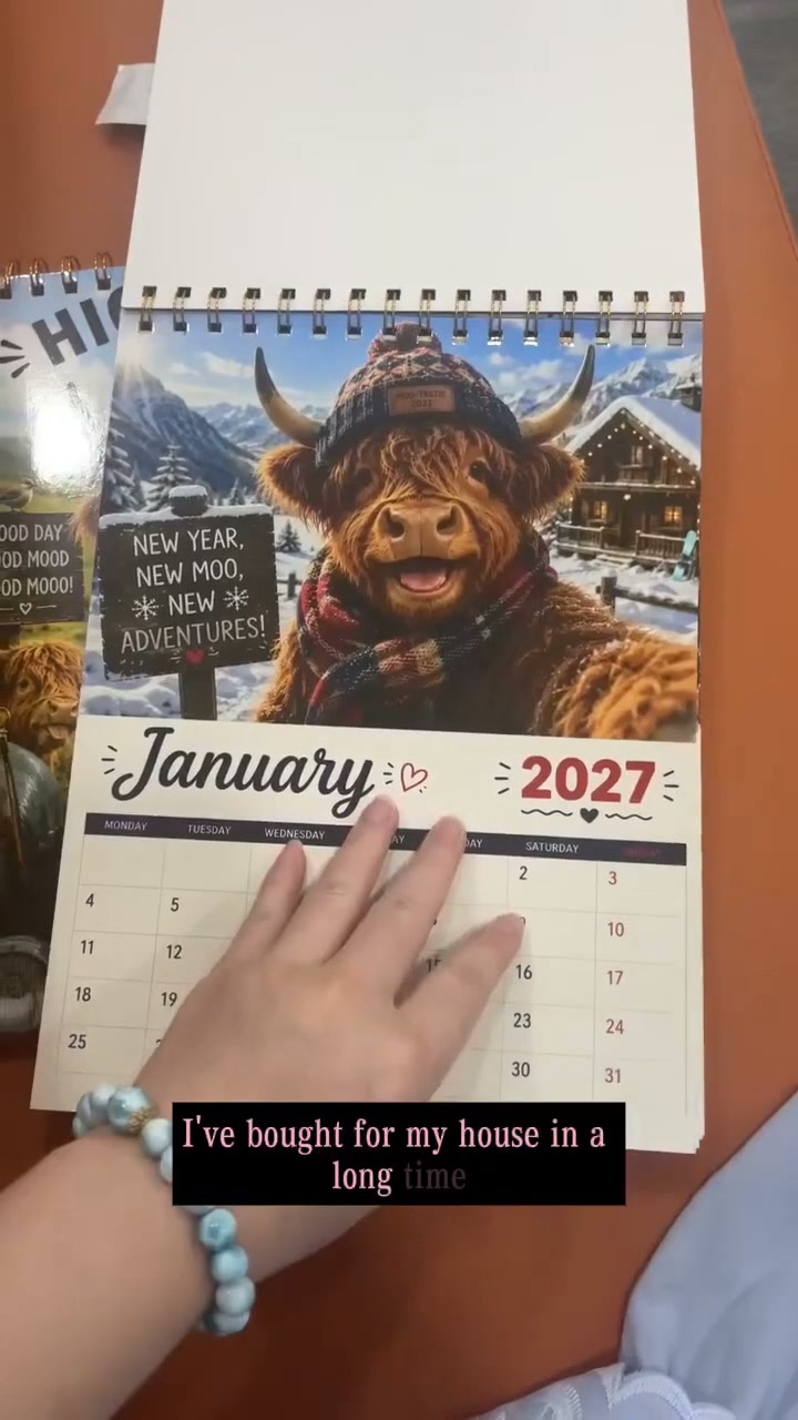 2027 Funny Highland Cow Wall Calendar