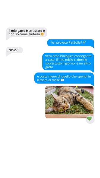 Il suo primo prato vero, in casa
