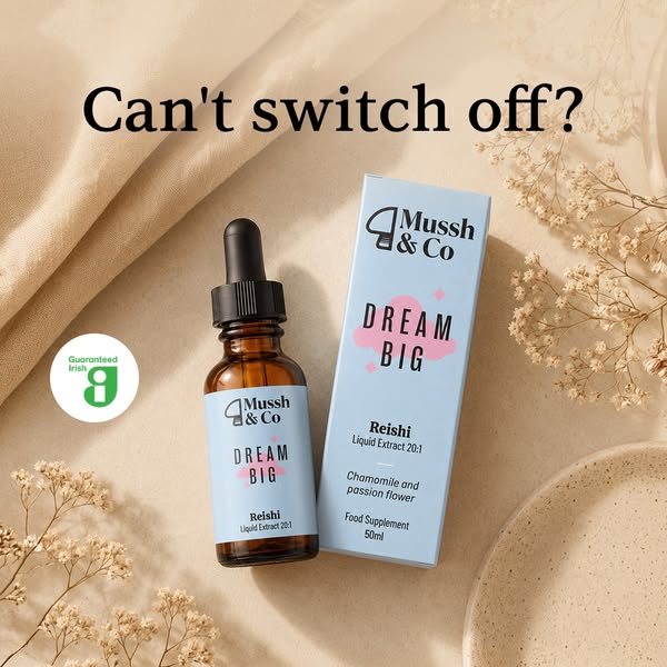 Meet Dream Big