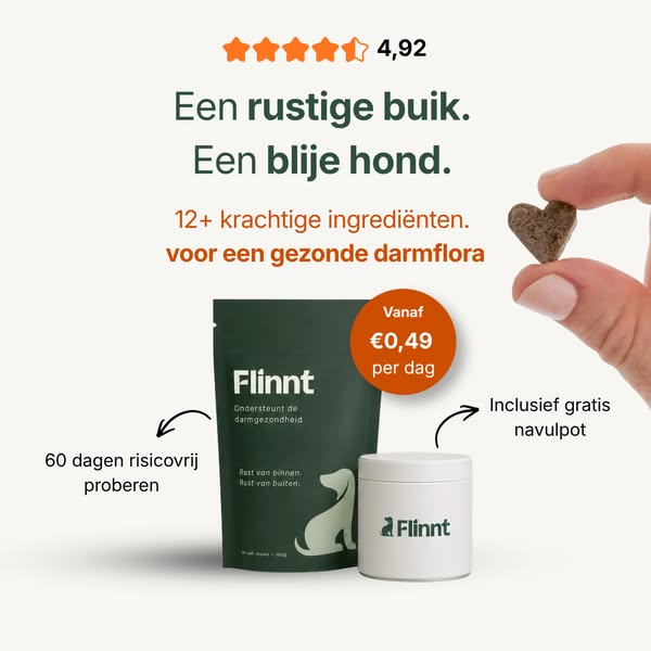 Darmgezondheid vanaf €0,49 per dag