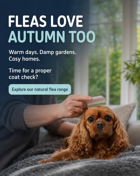 Natural Flea Range for Dogs