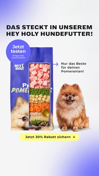 Jetzt 30% Test-Rabatt sichern