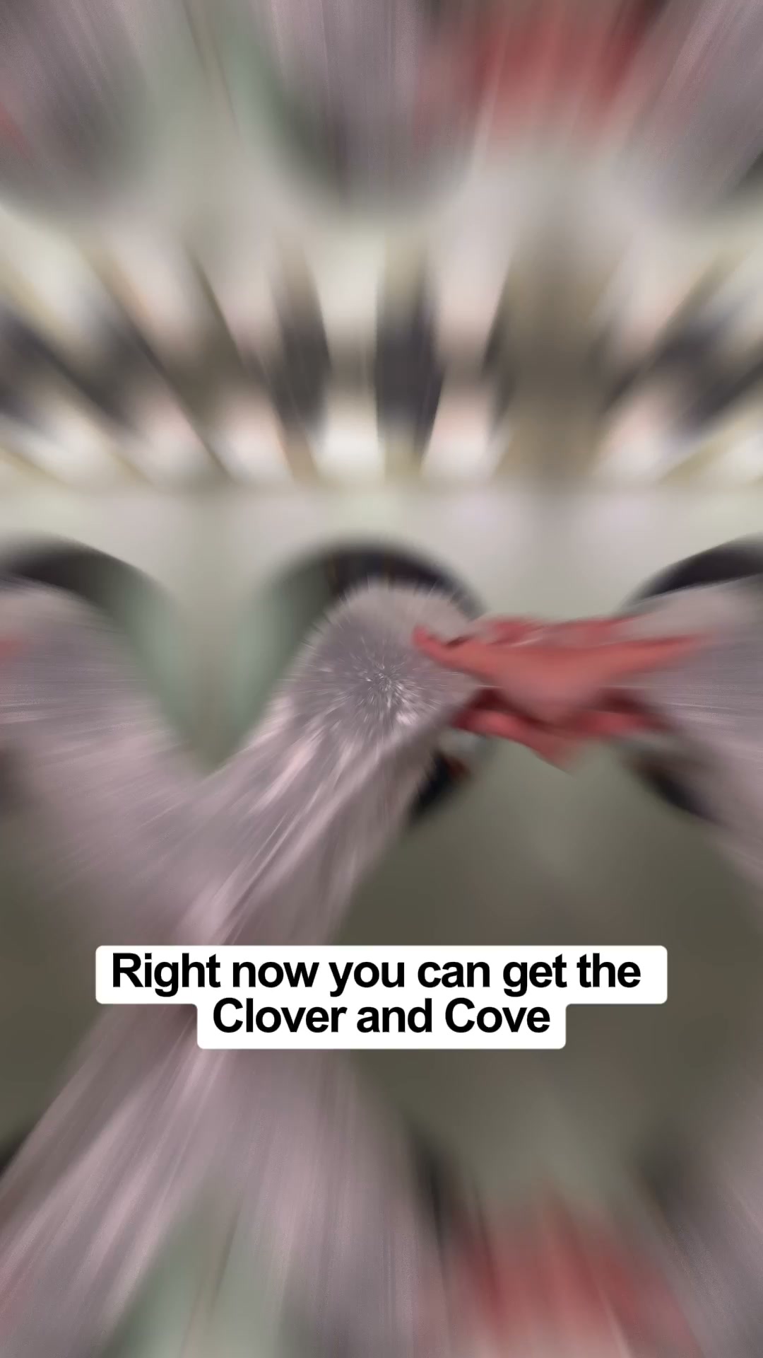 Buy 1 Get 1 Free