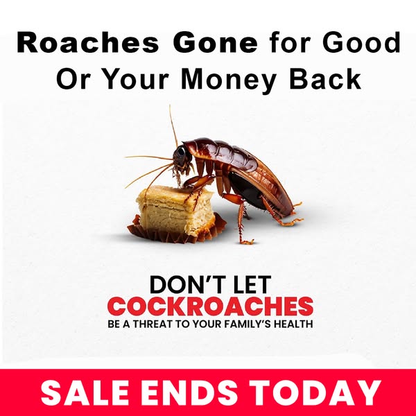 The Last Solution You Will Ever Need For Roaches
